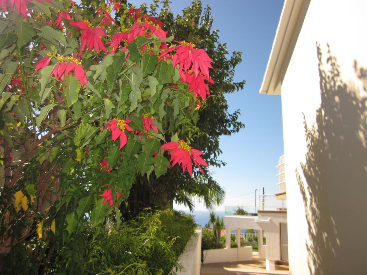 Villa Hansen In Garajau - Cristo Rei Caniço Extérieur photo
